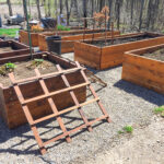 Flower beds