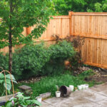Installed fence