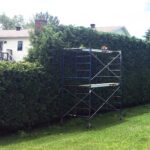 Hedge Trimming